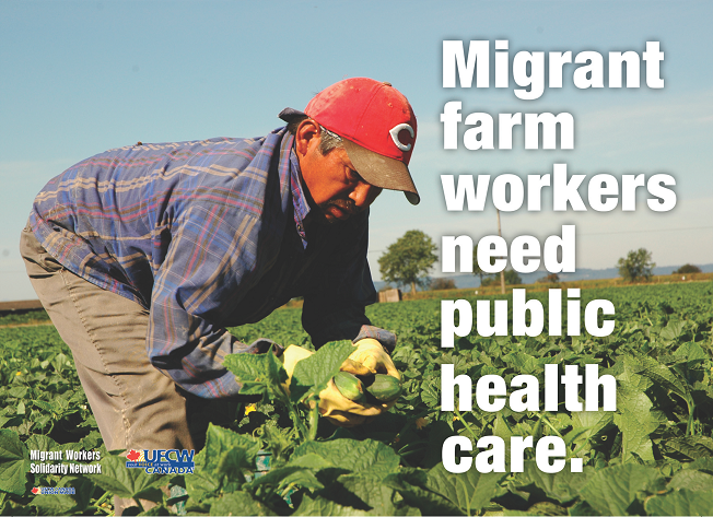"Migrant Farm Workers Need Public Health Care." - Front of campaign postcard